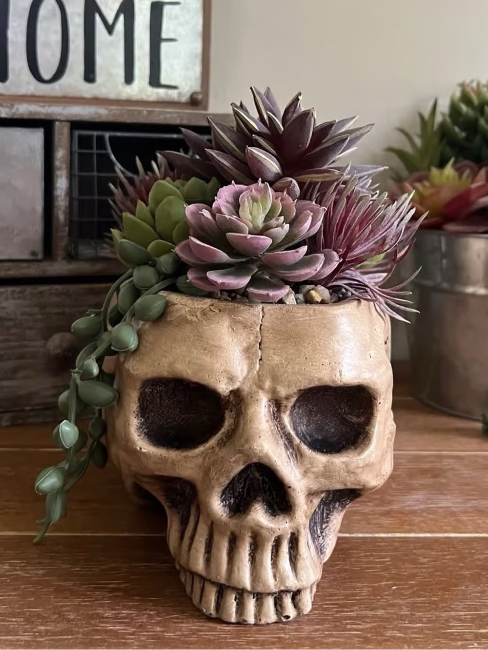 New Gothic Skull Faux Succulent Planter